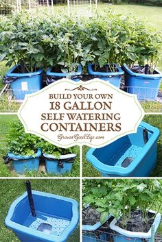 Garden Container, Grow Boxes, Container Ideas, Urban Gardening, Container Gardening Vegetables