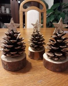 three pine cones sitting on top of a wooden table