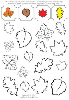 Dikkat çalışması Preschool Autumn, Fall Leaf Template, Thanksgiving Crafts Preschool, Fall Preschool Activities, Fall Arts And Crafts, Montessori Toddler Activities, Preschool Activities Toddler, Fall Preschool, Preschool Art Activities