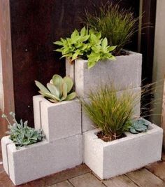 some plants are sitting in cement blocks on the ground