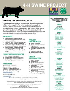 a flyer for the 4 - h swine project, with an image of a pig