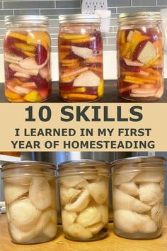 four jars filled with different types of food and the words 10 skills i learned in my first year of homesteading