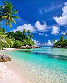 the beach is surrounded by palm trees and clear blue water, with rocks in the foreground