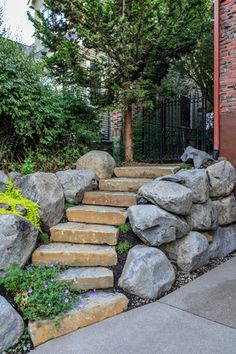 some rocks and plants are growing on the side of a building in front of a gate