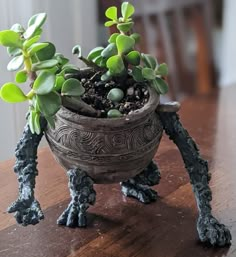 a potted plant sitting on top of a wooden table