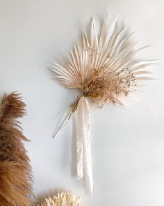 two dried flowers on a white wall next to some brown and white plants with long stems