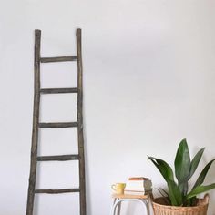 an old wooden ladder leaning against the wall next to a potted plant and books