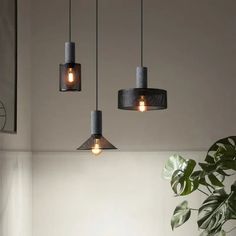 three lights hanging from a ceiling in a room with a potted plant next to it