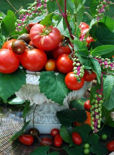 tomatoes and other fruits are in a white bowl on a wicker table with green leaves