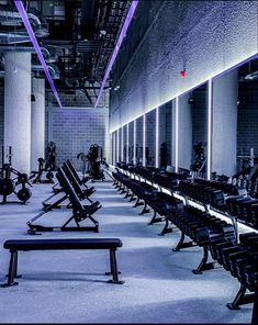 an empty gym with rows of exercise benches