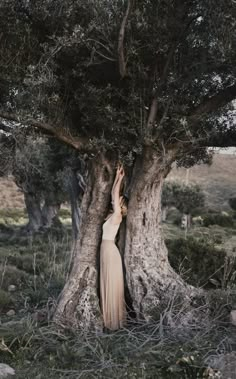 a woman standing in front of a tree with her hands on the top of it