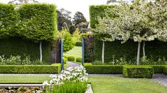 a garden with hedges and flowers in it