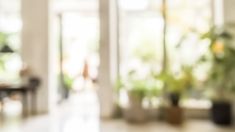 blurry image of the inside of a house with potted plants in the foreground