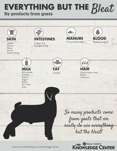 an info sheet describing the benefits of dog grooming and how to use it in your home