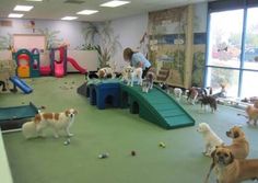 there are many dogs that are playing in the play area at the children's museum