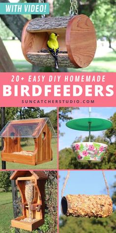 homemade bird feeders with video instructions