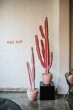 two pink cactus plants sitting next to each other on a black stand in front of a white wall