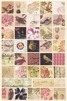 a collage of birds and flowers with the letter m on it's side