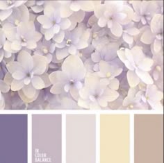 a bunch of flowers that are next to each other in shades of purple and yellow