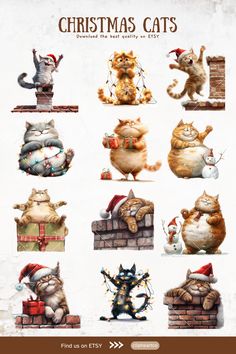 the christmas cats are all dressed up in santa hats and stockings, as well as presents