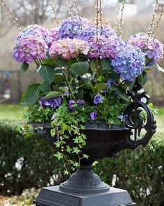 purple and blue flowers are in a black urn on a table outside with greenery