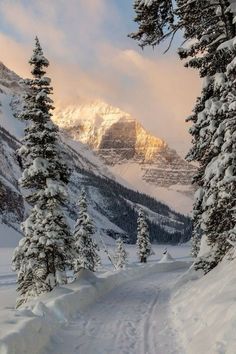 a person riding skis down a snow covered slope near evergreen trees and mountain peaks