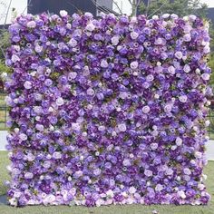 purple flowers are growing on the side of a building