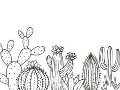 a line drawing of cacti in the desert