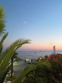 the sun is setting over the ocean with palm trees and flowers in front of it