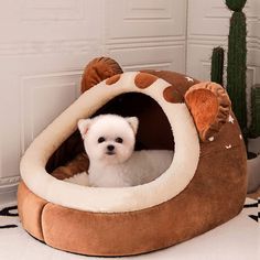 a small white dog sitting in a brown and white animal bed next to a cactus