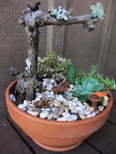 a potted plant with rocks and succulents in it