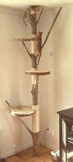 a cat tree is in the corner of a room with wood floors and white walls