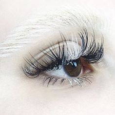 Halo Eye Makeup, Natural Fake Eyelashes, Eyelash Extensions Styles, Brown Makeup, Popsugar Beauty