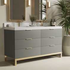 a bathroom vanity with two mirrors above it and a potted plant in the corner