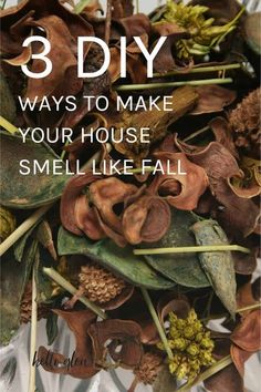 the words 3 diy ways to make your house smell like fall