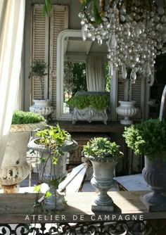 a room filled with lots of potted plants next to a mirror and chandelier