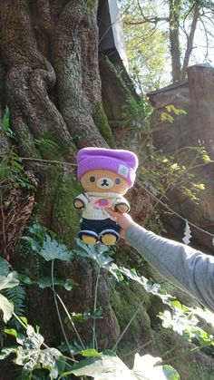 a person holding up a teddy bear in front of a tree with lots of leaves