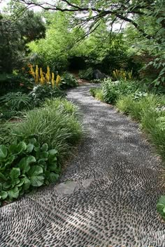 a stone path surrounded by plants and trees