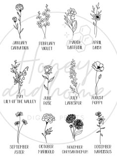 an image of flowers that are labeled in the english language, including names and pictures