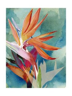 a painting of a bird of paradise flower on a blue and green watercolor background