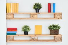 three wooden shelves with books and plants on them