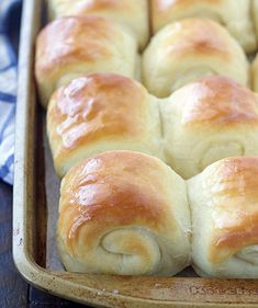 freshly baked rolls in a baking pan ready to be eaten