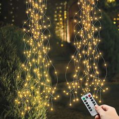 a hand holding a remote control in front of a string of lights that look like vines