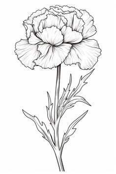 a black and white drawing of a flower