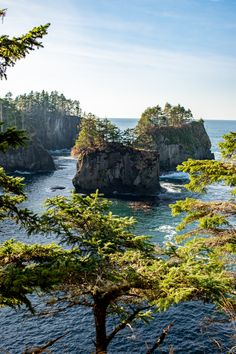 an island surrounded by trees in the ocean