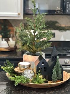 a small christmas tree in a pot on top of a plate