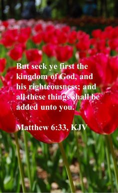 But seek ye first the kingdom of God, and his righteousness; and all these things shall be added unto you.

Matthew 6:33, KJV Jesus 2024, Precious Jesus, Christian Pins, Favorite Scriptures, Christian Friends, Christian Prayers, Christian Devotions, Lord God