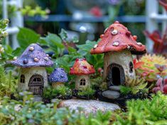 three little fairy houses in the middle of some plants