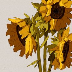 a drawing of sunflowers with yellow petals