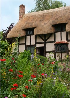 an old thatched roof house surrounded by wildflowers and other plants in front